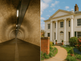 Unique Greenwich Experiences