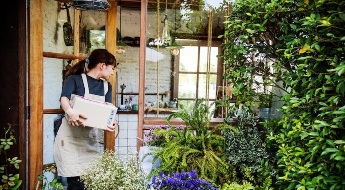 Maximising Small Spaces: Landscape Design Ideas for Urban Dwellers Design Ideas