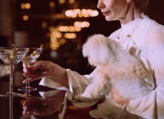 The Greatest Activities in Leeds for a Girls’ Weekend, Regardless of Your Preferences! Leeds for a Girls
