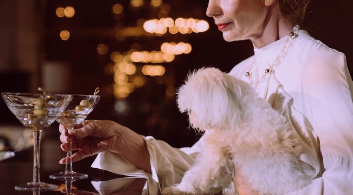 The Greatest Activities in Leeds for a Girls’ Weekend, Regardless of Your Preferences! Leeds for a Girls