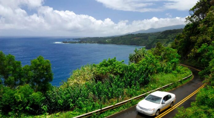 The Benefits of Choosing a Maui Private Car Service for Exclusive Island Travel Maui Private Car Service