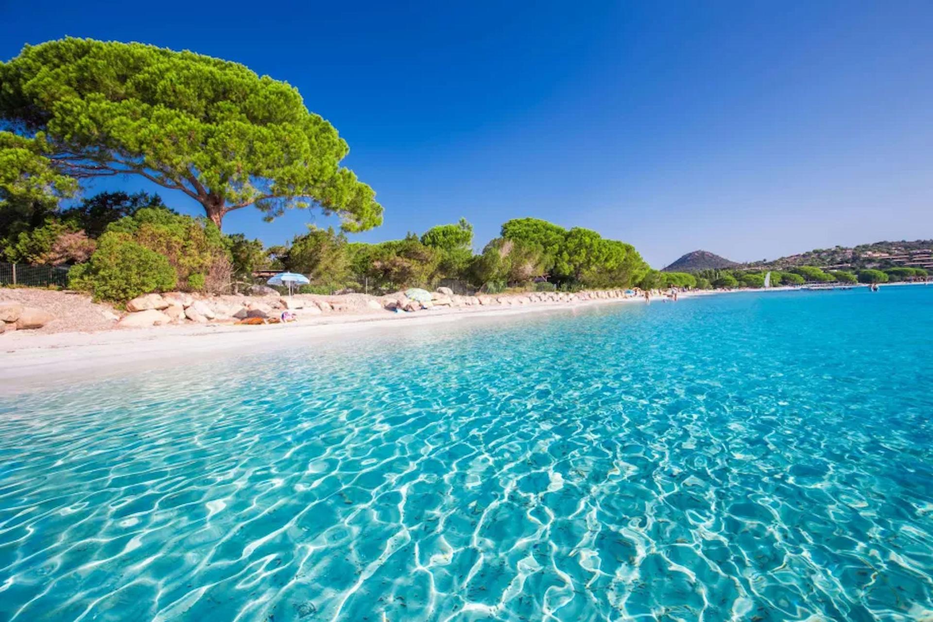 Palombaggia Beach