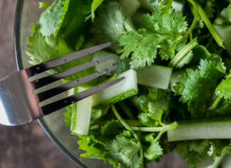 Pravi Celer: The Humble Vegetable with Amazing Health Benefits Pravi Celer