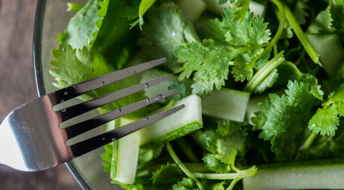 Pravi Celer: The Humble Vegetable with Amazing Health Benefits Pravi Celer