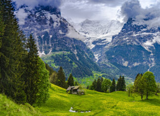 Switzerland in Summer: Lakes, Meadows & Alpine Adventures Switzerland