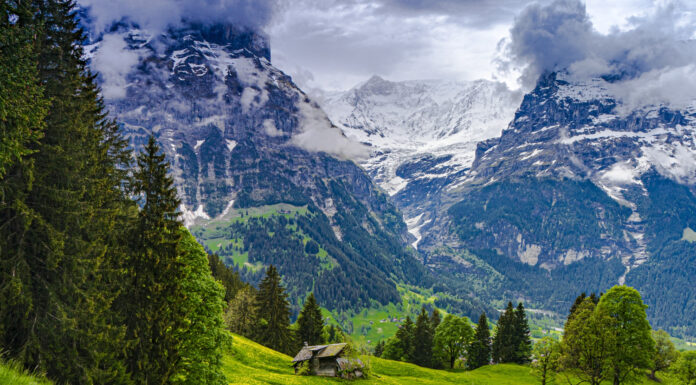 Switzerland in Summer: Lakes, Meadows & Alpine Adventures Switzerland