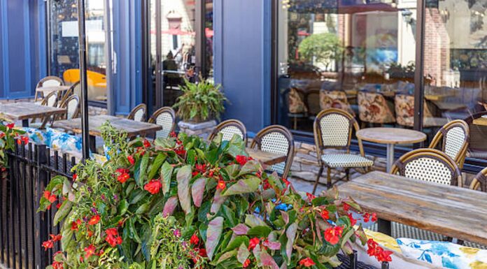 5 Cosy Cafés and Pubs to Experience in Blackheath pubs