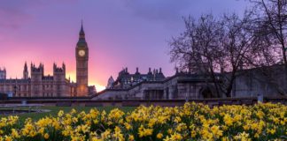 Best 5 Parks in London