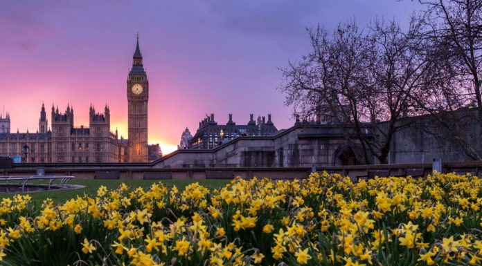 Best 5 Parks in London