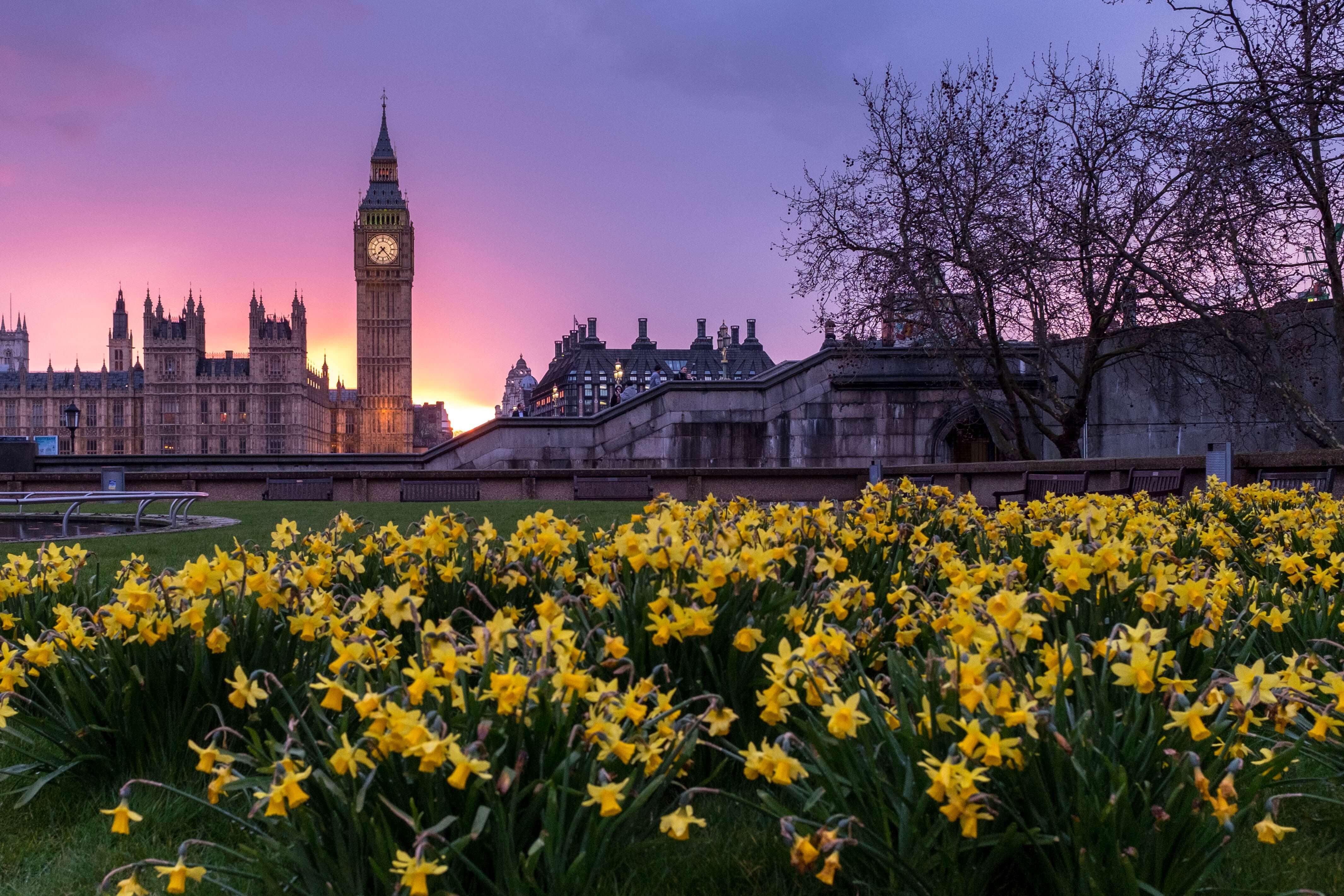 List Of Top 5 Most Beautiful Parks In London